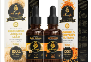 Juba de Leão Cog Cogumelos