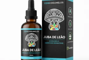 Juba de Leão Cog Cogumelos